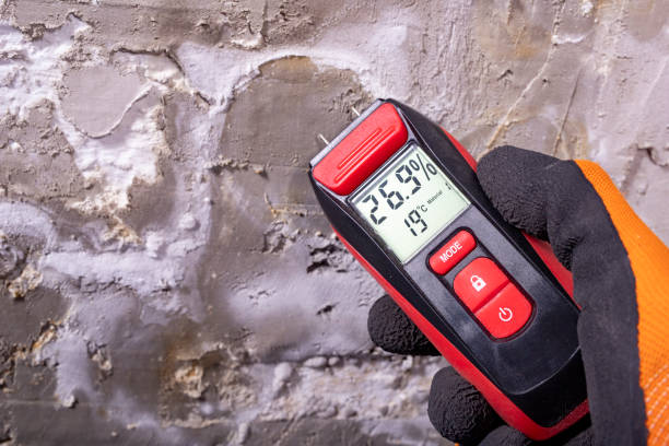 Best Attic Mold Removal  in Boyne City, MI