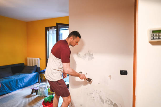 Mold Testing and Removal in Boyne City, MI